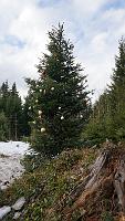 2013 12 25 C